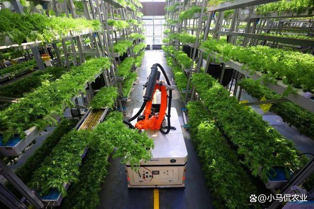 人工智能在农业领域的创新应用